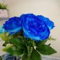 10 Pcs Chinese Rare and Precious Species of Blue Peony Flower Bonsai