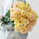 200 Pcs Eustoma Seed Perennial Flowering Plants Lisianthus Multicolor 200 Pcs Eustoma Seed Perennial Flowering Plants Lisianthus Multicolor