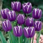 50 Pcs Tulip Bonsai Flowers Wedding Home Decorative Flowers