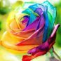 100 Pcs Rare Holland Rainbow Rose Flowers Lover Colorful Perennial Flower Garden Plants Bonsai