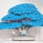 20 Pcs bonsai blue maple tree seeds Bonsai tree seeds