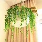 100 Pcs Green Chlorophytum Pearls Bonsai Hanging Potted