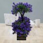 100 Pcs Dragon Colorful Flower Bonsai Tree with Pot Artificial Plant Decoration
