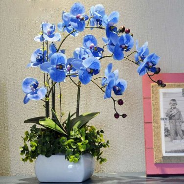200 Pcs Phalaenopsis Orchid Bonsai Butterfly Orchid Potted Plant Phalaenopsis Orchid Indoor Flowers