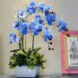200 Pcs Phalaenopsis Orchid Bonsai Butterfly Orchid Potted Plant Phalaenopsis Orchid Indoor Flowers