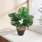 100 Pcs Philodendron Bonsai, Vine Leaf