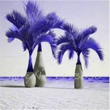 20 Pcs Japan Blue Bottle Palm Plants Multi-Color Exotic Plants Tree Balcony Bonsai