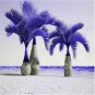 20 Pcs Japan Blue Bottle Palm Plants Multi-Color Exotic Plants Tree Balcony Bonsai