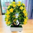 50pcs Garden Flower Bonsai Kerria Japonica Sophora Japonica 50pcs Garden Flower Bonsai Kerria Japonica Sophora Japonica