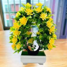 50pcs Garden Flower Bonsai Kerria Japonica Sophora Japonica
