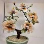 100 Pcs Unique Mixed Colors Japanese Bonsai Potted