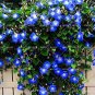 100 Pcs Rare Star Blue Bonsai Garden and Patio Potted Plant