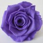 100 Pcs Exotic Rainbow Rose Plants Mixed Colors Rosa Planta