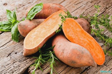 20 Pcs Sweet Potato Seeds Fresh Food Vegetable Farm Garden Plants