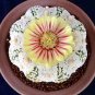 200 Pcs lithops Seeds
