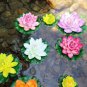 10 Pcs Heirloom Colorful Lotus Seeds