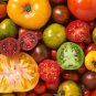 200 Pcs Tomoto Seeds mixed packed Purple Black Red Yellow Green Cherry Peach Pear