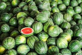 50 Pcs Watermelon seeds
