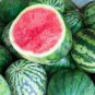 50 Pcs Watermelon seeds