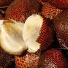 20 Pcs Salak Seed World Snakeskin Fruit Seeds Like Ginseng Fruit Very Delicious