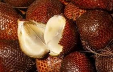 20 Pcs Salak Seed World Snakeskin Fruit Seeds Like Ginseng Fruit Very Delicious