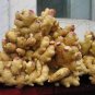 100 Pcs Perennial ginger seeds vegetable seeds zingiber officinale seeds