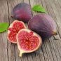100 Pcs Rare Tropical Fig Seeds Mini Fig Tree Bonsai Plant seeds