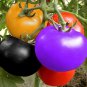 200 Pcs Rainbow Tomato Seeds Garden Organic Fruit