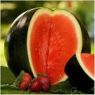 40 Pcs Black Diamond Watermelon Seeds