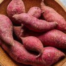 100 Pcs Leguminosae sweet potato seeds 100 Pcs Leguminosae sweet potato seeds