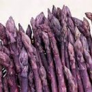 50 Pcs Four Seasons Purple Asparagus seeds