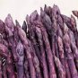 50 Pcs Four Seasons Purple Asparagus seeds