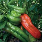 100 PCS Rare Heirloom Giant Marconi Sweet Peppers Vegetables Seeds