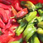 100 PCS Rare Heirloom Giant Marconi Sweet Peppers Vegetables Seeds