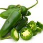 30 PCS Organically Grown Mucho Nacho Jalapeno Hot Pepper Seeds