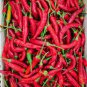 30 PCS Red Dried Hot Chili Hunan Pepper Organic Seeds