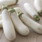 700 PCS Eggplant Seeds Heirloom Moon White Long Hybrid Vegetables Seeds 700 PCS Eggplant Seeds Heirloom Moon White Long Hybrid Vegetables Seeds