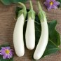 700 PCS Eggplant Seeds Heirloom Moon White Long Hybrid Vegetables Seeds