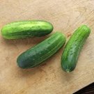 50 PCS Dark Green Little Cucumber Hybrid F1 Seeds