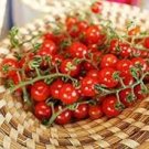 40 PCS Red Sun Sugar Tasty Cherry Tomato Seeds