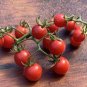 40 PCS Red Sun Sugar Tasty Cherry Tomato Seeds