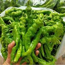 30 PCS 'Chitterlings' Green Red Hot Pepper Vegetable Seeds