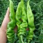 30 PCS 'Chitterlings' Green Red Hot Pepper Vegetable Seeds