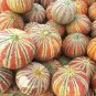 10 PCS Rare Kajari Sweet Melon Fruit Seeds