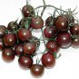 100 PCS Black Royal Little Cherry Tomato Organic Seeds