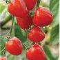 100 PCS Tomatoberry Garden Hybrid Tomato Seeds