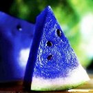 20 PCS Rare Blue Watermelon Sweet Fruits Seeds 20 PCS Rare Blue Watermelon Sweet Fruits Seeds