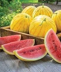 10 PCS Chinese Gift Watermelon Hybrid Yellow Peel Red Watermelon Seeds