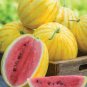 10 PCS Chinese Gift Watermelon Hybrid Yellow Peel Red Watermelon Seeds