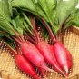 200 PCS Radish Liuchao Dark Red Organic Vegetable Seeds